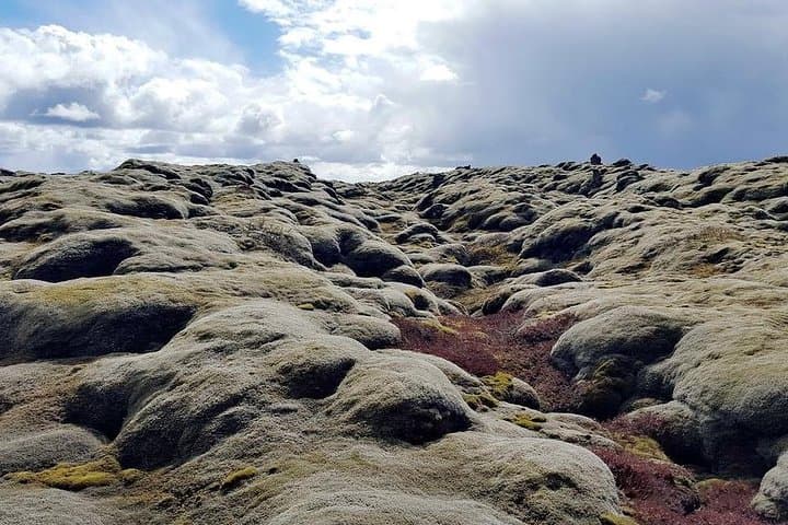 Glacier Lagoon & South Coast. Private Day Tour  5