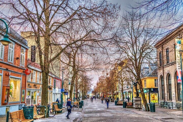 Trondheim Private Walking Tour 4