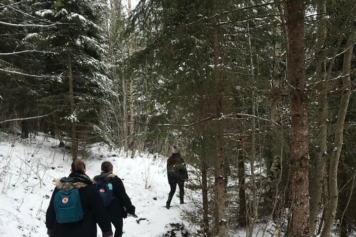 Explore the beautiful nature of Trondheim 3