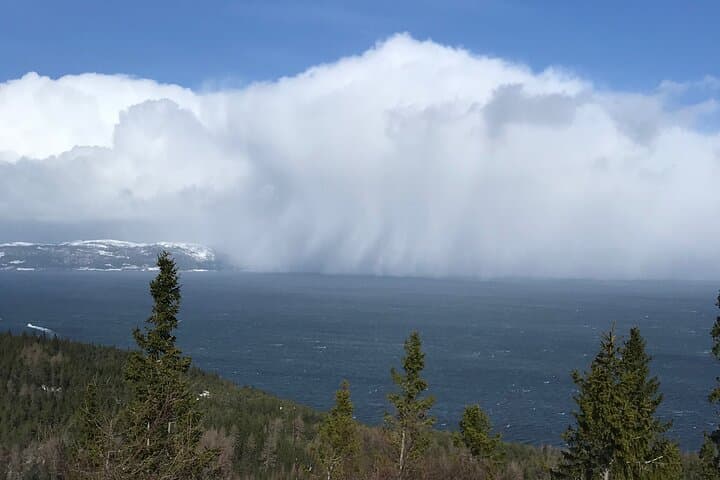 Explore the beautiful nature of Trondheim 4