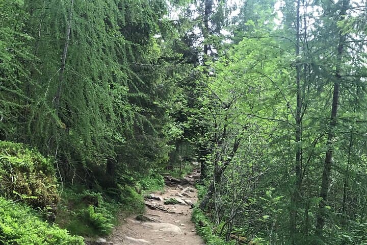 Explore the beautiful nature of Trondheim 5