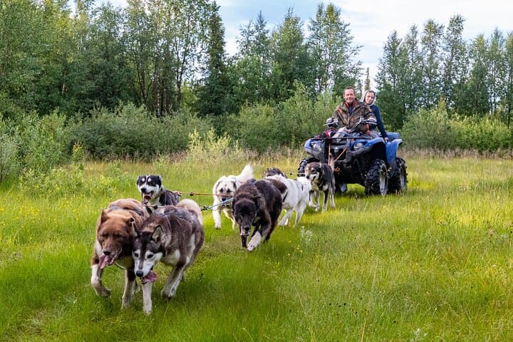 Meet 70 Huskies and Enjoy a short ATV Tour with the Huskies