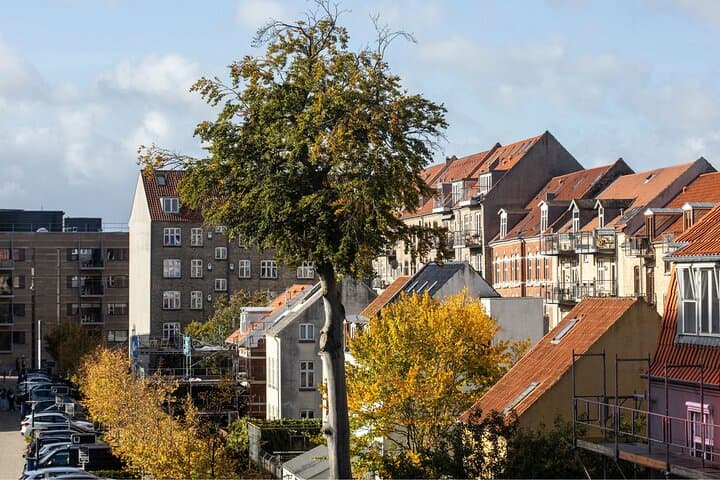 Aarhus Private Custom Walking Tour With A Guide  5