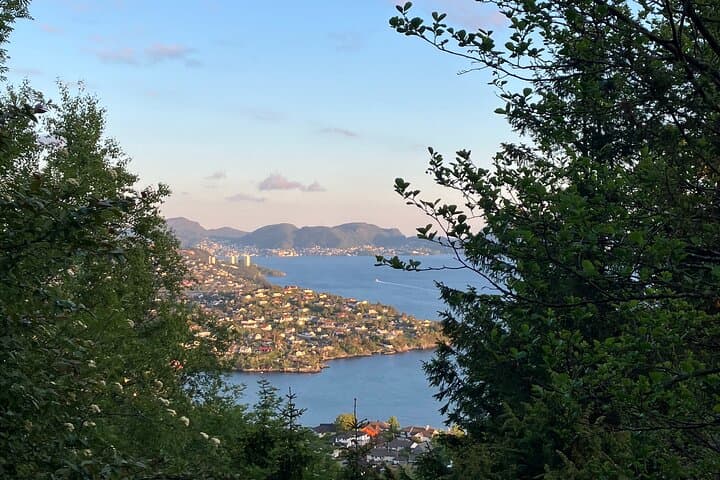 3-Hour Private Norwegian Hiking Experience with Local Guide 4