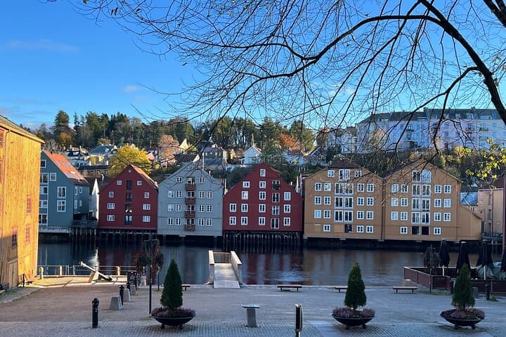 Half-Day Highlights of Trondheim by Bus and City Walk 4