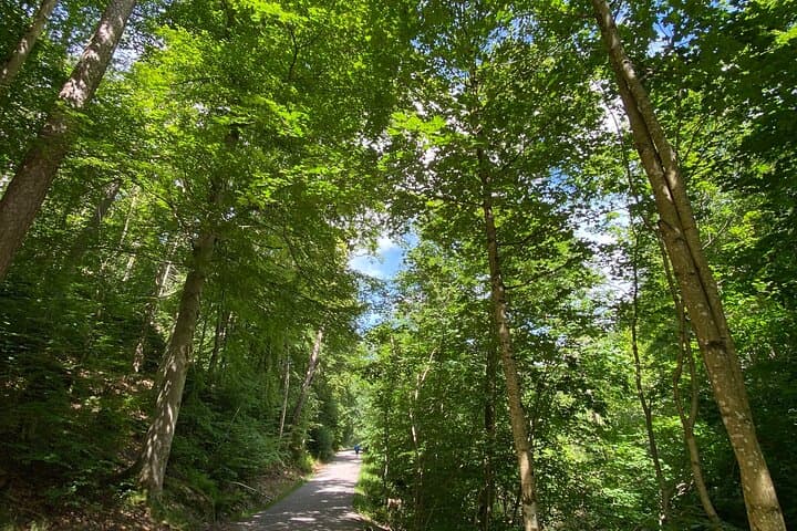 Private Half-Day Swedish Nature Experience 5