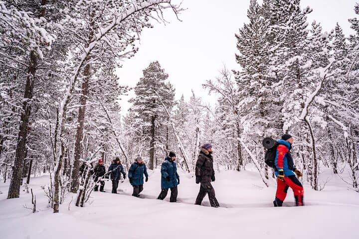 Snowshoe in a Winter Forest