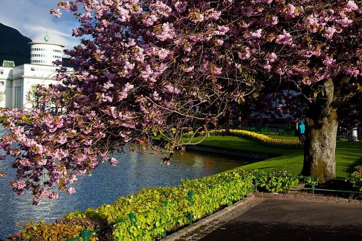 PRIVATE TOUR: Bergen city sightseeing, 5 hours 3