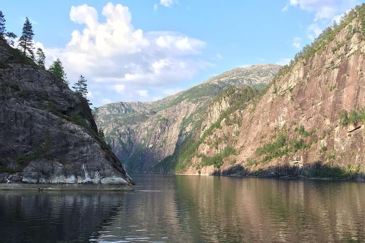 GUIDED TOUR: Secrets of the Fjords - the Osterfjord and Mo, 6.5 hours 4