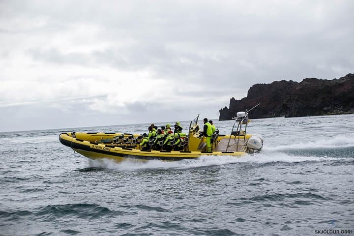 2 hour Round Trip in Vestmannaeyjar on a RIB Boat 3