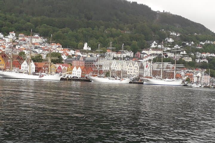 Walking tour: Medieval Spirit of Bergen + sweet Arctic gifts