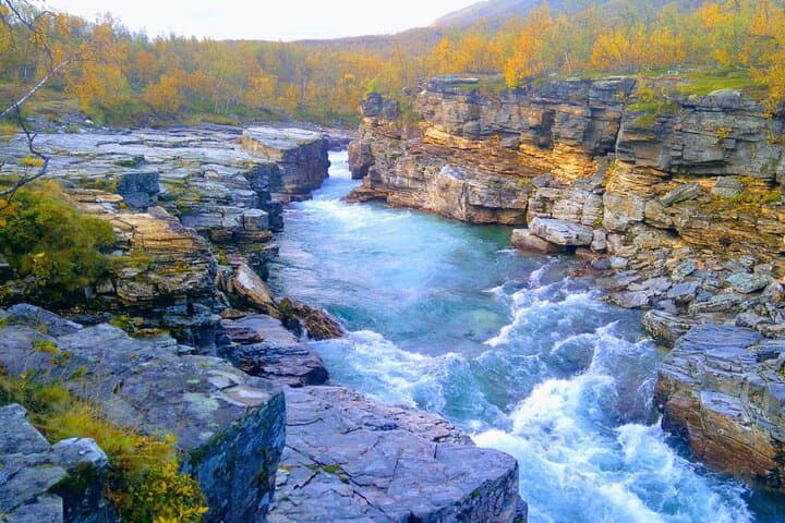 Tour to Abisko national park