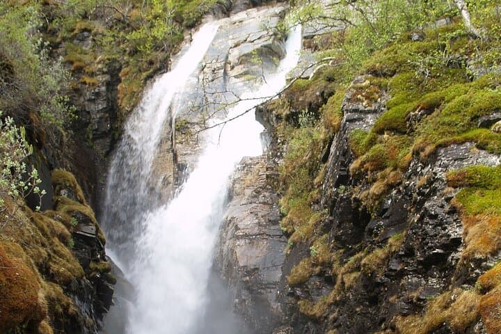 Tour to Abisko national park 2