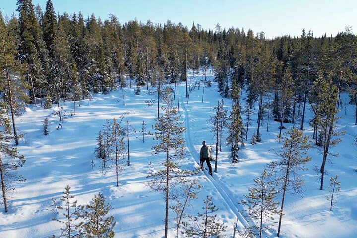 Guided Daytime Ski Adventure: Explore Private Trails by Rovaniemi 4