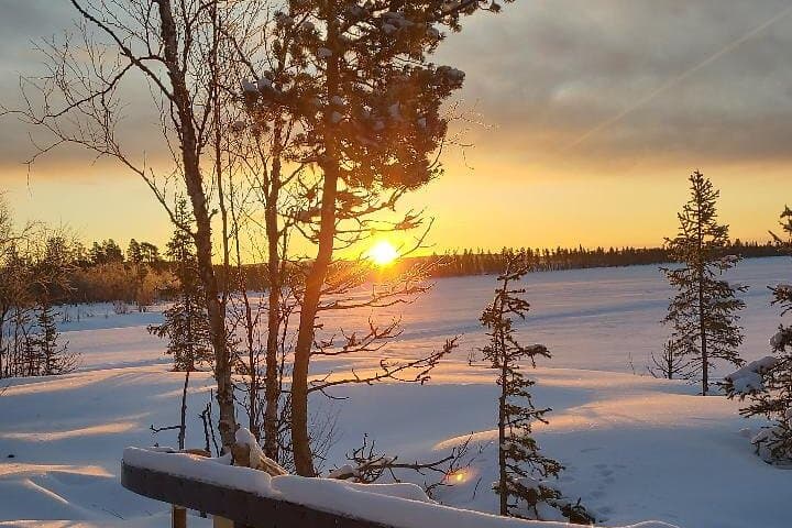 Sami day tour adventure 4