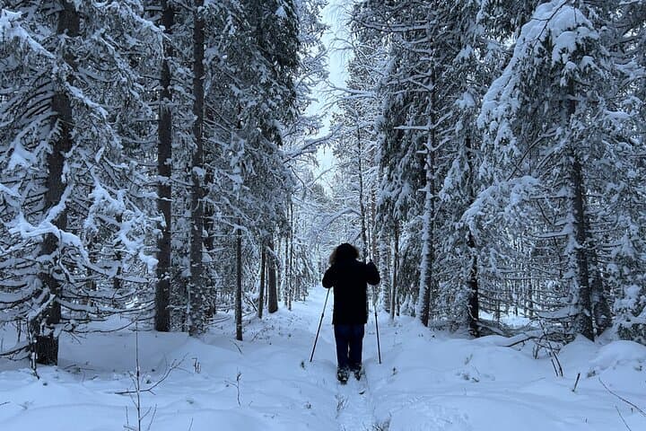 Guided Daytime Ski Adventure: Explore Private Trails by Rovaniemi 3
