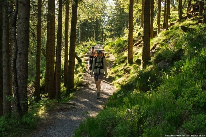On Top of Bergen - Private Hike 5